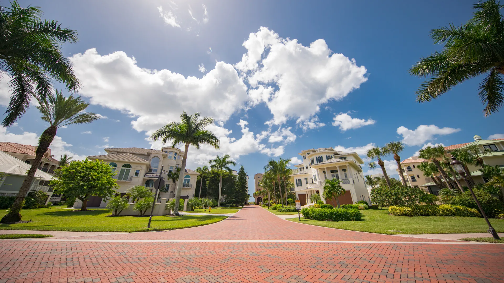 California real estate houses with palm trees, green plants, and a brick path.