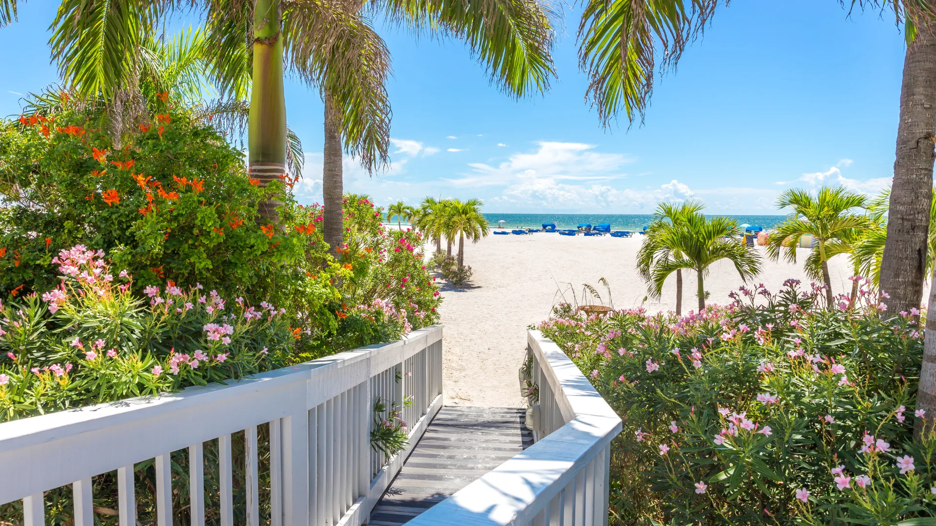 Path with green plants and flowers leading to a beach with palm trees.