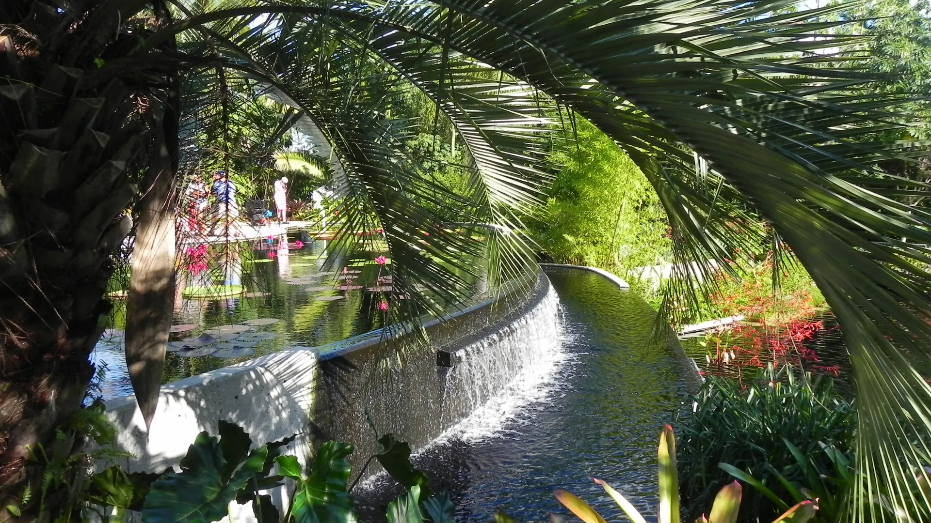 Garden with a small waterfall, green plants, flowers, and palm leaves.